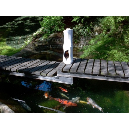 Керамический биокамин RG di Romagnioli e Giardini Bamboo Керамический биокамин RG di Romagnioli e Giardini Bamboo по цене 89 900 руб.